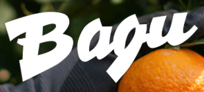 BAGU Burriana
