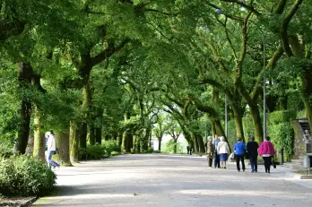 Publicidad en el Parque de la Alameda de Santiago