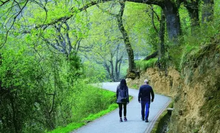 Publicidad exterior en El Regato