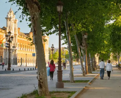 Soportes publicitarios en Bellavista, Sevilla