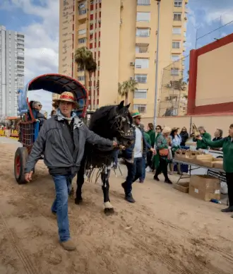 Actividades de verano en La Pobla de Farnals
