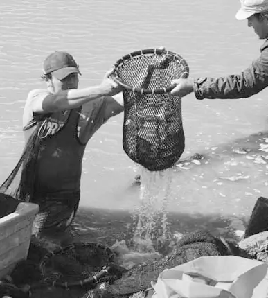 Degustación en la Fiesta del Pescado de Estero Degustación en la Fiesta del Pescado de Estero