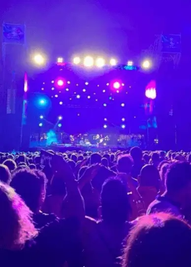 Publicidad exterior durante el Festival de Música Alcalina