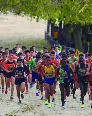 Publicidad exterior durante el Cross Internacional de la Constitución Vallas cerca del Parque de Andalucía en Alcobendas
