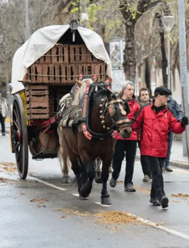 Soportes publicitarios activos durante el desfile de caballerías de los Tres Tombs de Sant Antoni en Esplugues de Llobregat