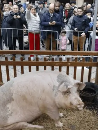 Soportes publicitarios activos durante la feria de Santo Tomás, el 21 de diciembre, en el centro de Galdakao
