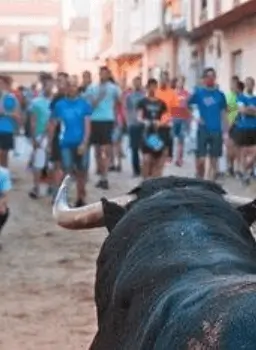 Soportes publicitarios activos durante la festividad de Sant Antoni Abad, primera cita del calendario festivo de La Vall d'Uixó