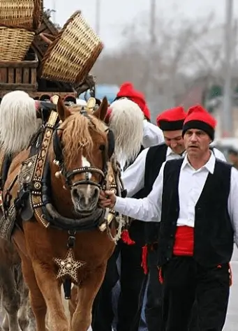 Vallas de Marco Visual durante los Tres Tombs de Sant Antoni, desfile de caballos y carros por Montcada i Reixac