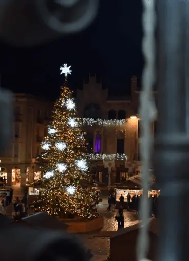Publicidad exterior durante el Mercat de Nadal de Reus Publicidad exterior durante el Mercat de Nadal de Reus