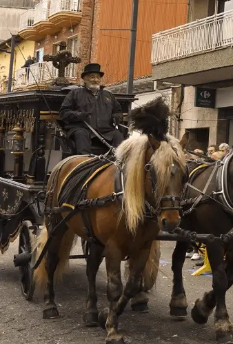 Vallas publicitarias activas durante la Festa de Sant Antoni Abat, tradición de Ripollet con más de 120 ediciones
