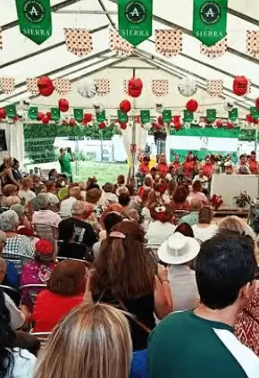 Soportes publicitarios activos durante las fiestas patronales de San Fernando Rey, a finales de mayo en San Fernando de Henares