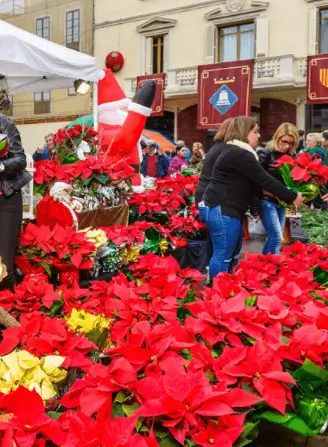 Fira de la Puríssima Sant Boi de Llobregat