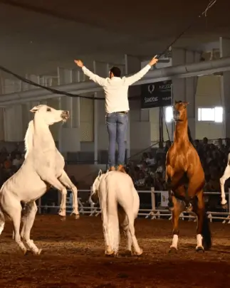 Feria EQUIMUR en IFEPA