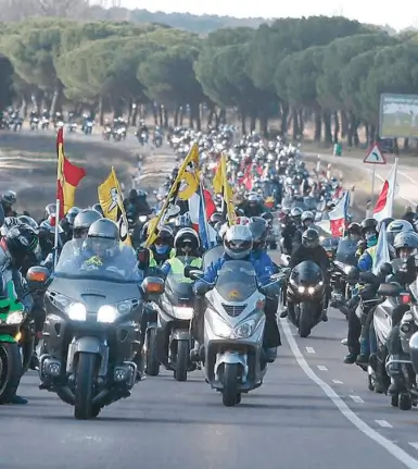 Pingüinos Valladolid