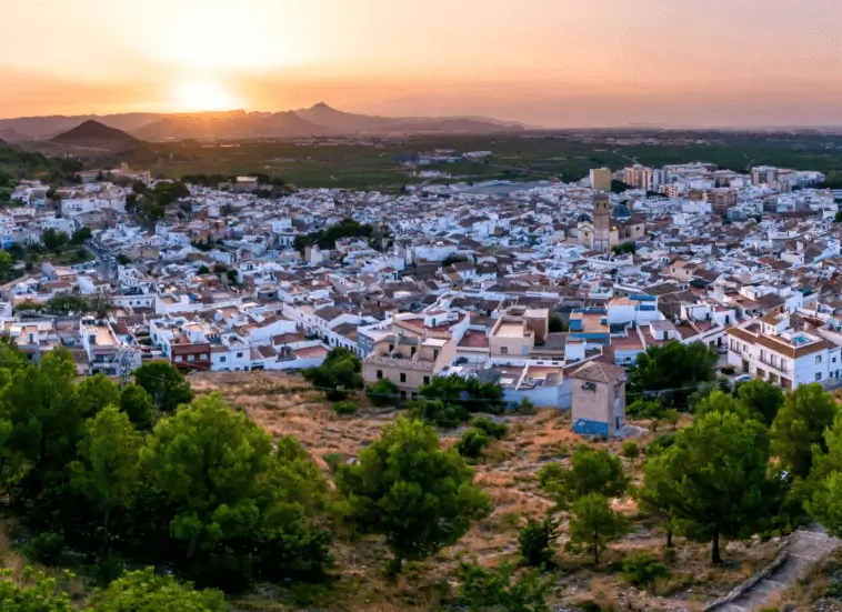 Publicidad exterior en la ciudad de Oliva Publicidad exterior en la ciudad de Oliva